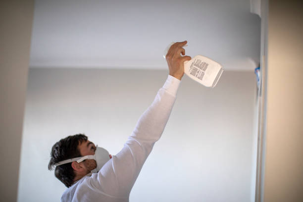 Best Residential Mold Removal  in Mount Wolf, PA